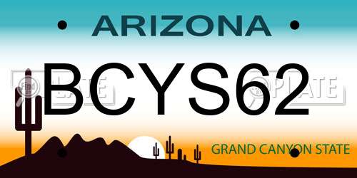 BCYS62 Arizona License Plate