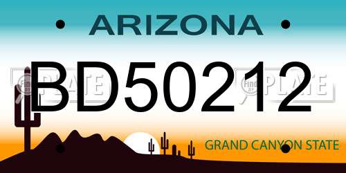BD50212 Arizona License Plate