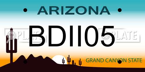 BDII05 Arizona License Plate