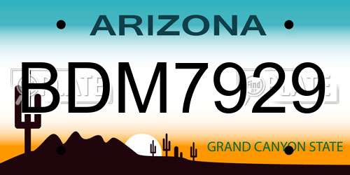 BDM7929 Arizona License Plate