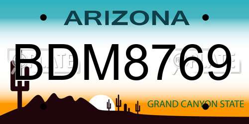 BDM8769 Arizona License Plate