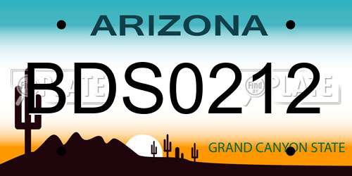 BDS0212 Arizona License Plate