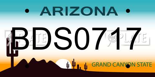 BDS0717 Arizona License Plate