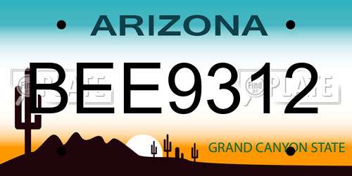 BEE9312 Arizona License Plate