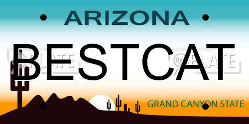 BESTCAT Arizona License Plate