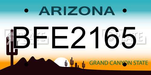 BFE2165 Arizona License Plate