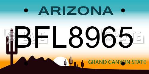 BFL8965 Arizona License Plate