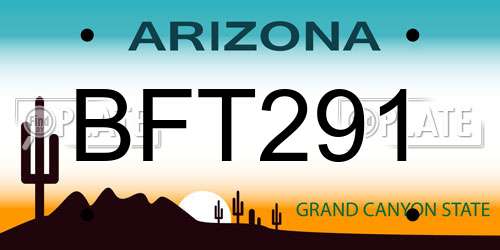 BFT291 Arizona License Plate