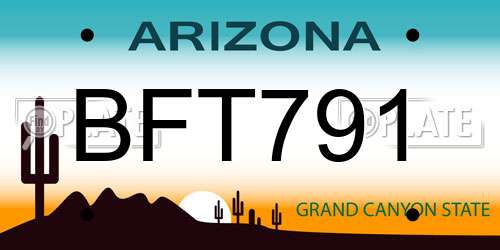 BFT791 Arizona License Plate