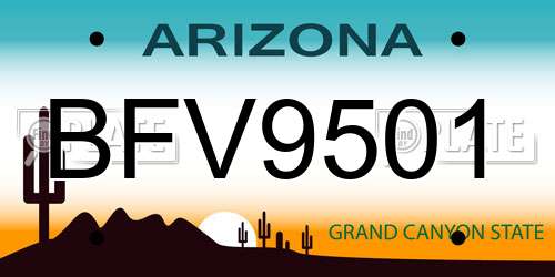 BFV9501 Arizona License Plate