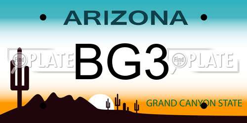 BG3 Arizona License Plate