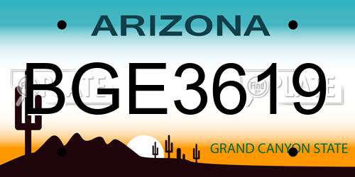 BGE3619 Arizona License Plate