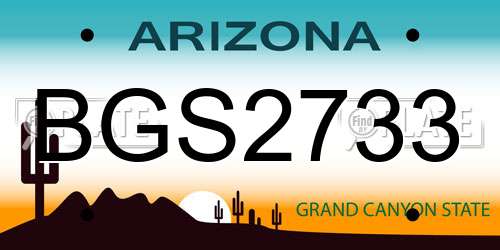 BGS2733 Arizona License Plate