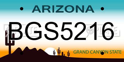 BGS5216 Arizona License Plate