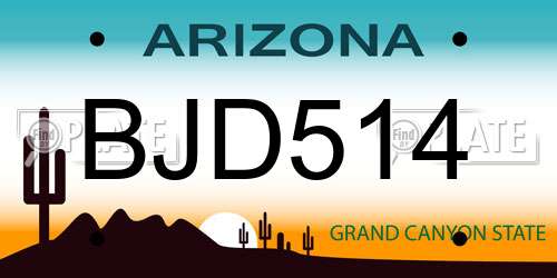 BJD514 Arizona License Plate
