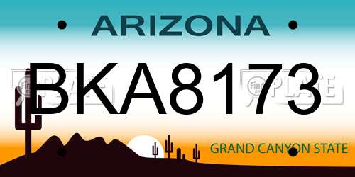 BKA8173 Arizona License Plate