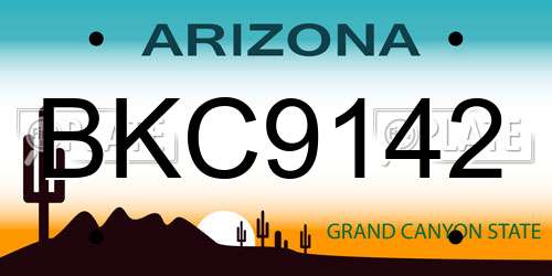 BKC9142 Arizona License Plate
