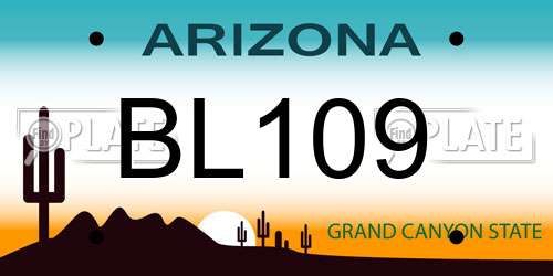 BL109 Arizona License Plate