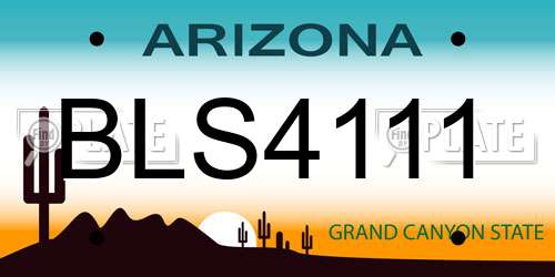 BLS4111 Arizona License Plate