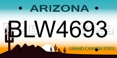 BLW4693 Arizona License Plate
