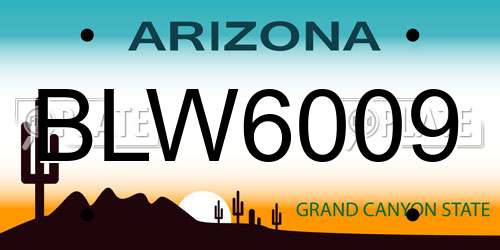 BLW6009 Arizona License Plate