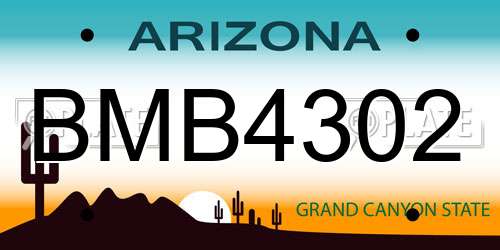 BMB4302 Arizona License Plate