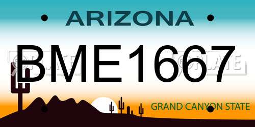 BME1667 Arizona License Plate
