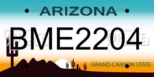 BME2204 Arizona License Plate