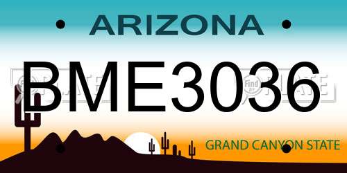 BME3036 Arizona License Plate