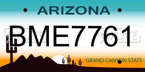 BME7761 Arizona License Plate