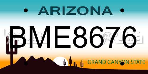 BME8676 Arizona License Plate