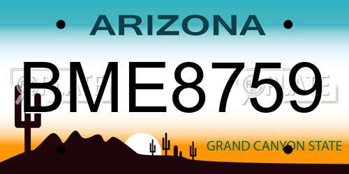 BME8759 Arizona License Plate