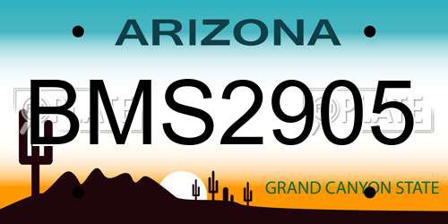 BMS2905 Arizona License Plate