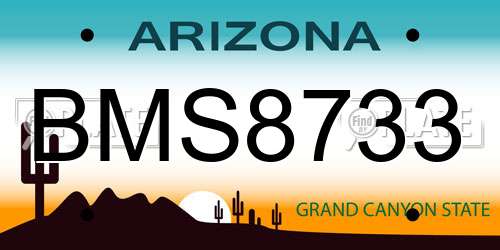 BMS8733 Arizona License Plate