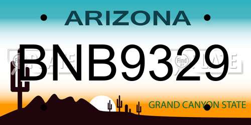 BNB9329 Arizona License Plate