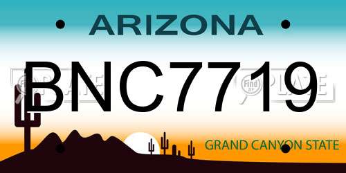 BNC7719 Arizona License Plate