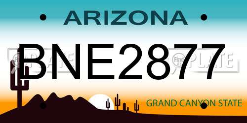 BNE2877 Arizona License Plate