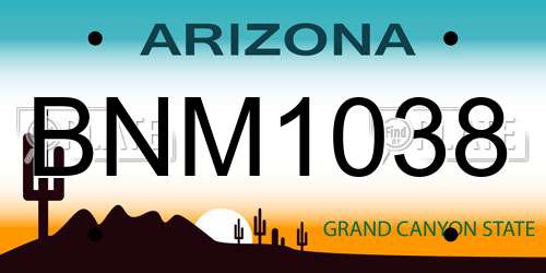 BNM1038 Arizona License Plate