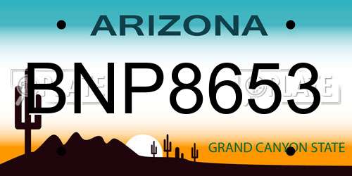 BNP8653 Arizona License Plate