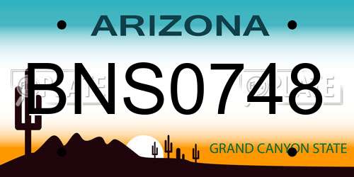 BNS0748 Arizona License Plate