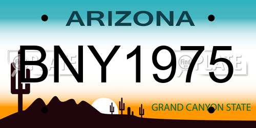 BNY1975 Arizona License Plate
