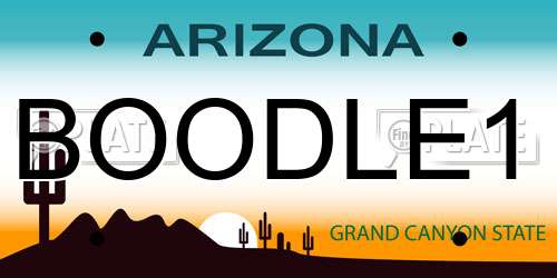 BOODLE1 Arizona License Plate