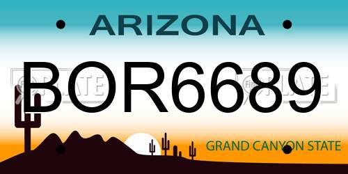 BOR6689 Arizona License Plate