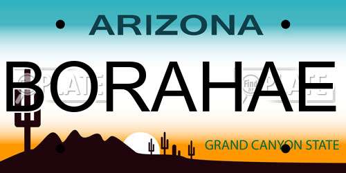 BORAHAE Arizona License Plate