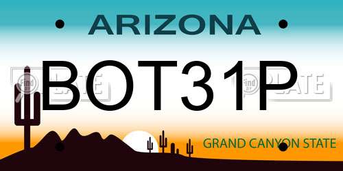 BOT31P Arizona License Plate
