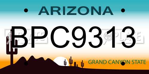 BPC9313 Arizona License Plate