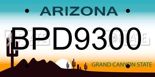 BPD9300 Arizona License Plate