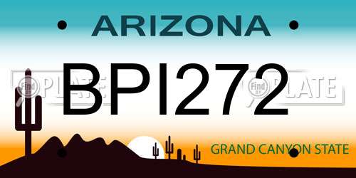 BPI272 Arizona License Plate