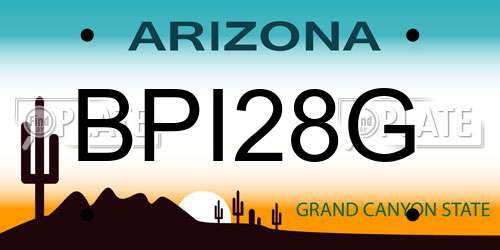 BPI28G Arizona License Plate