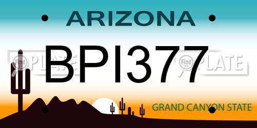 BPI377 Arizona License Plate